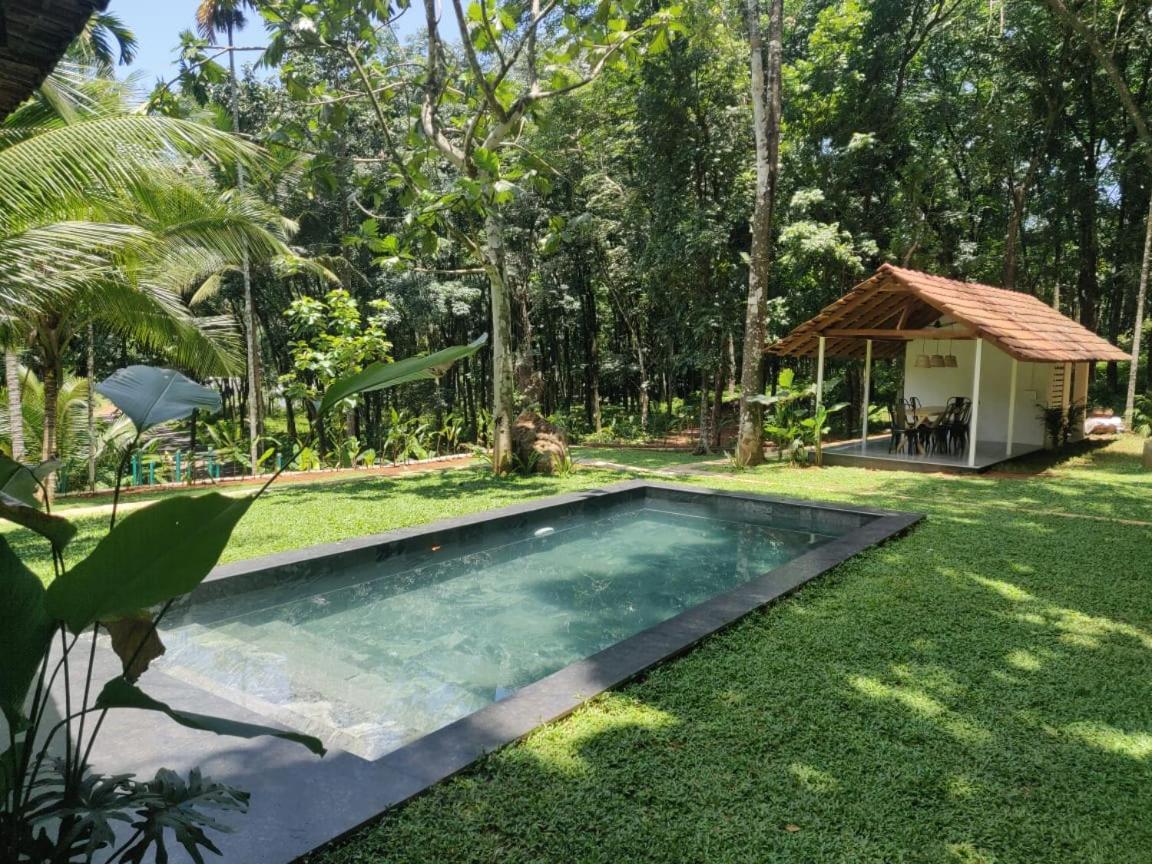 Pool Villa - The Humming Trees, Pala Lālam Kültér fotó
