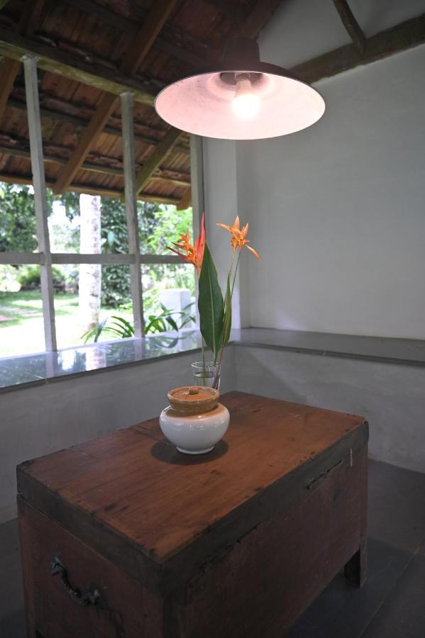 Pool Villa - The Humming Trees, Pala Lālam Kültér fotó